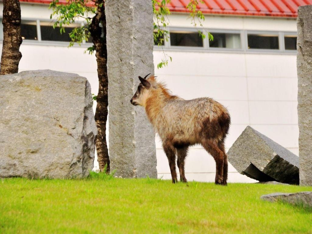 Tateyama Kokusai Hotel Toyama Luaran gambar